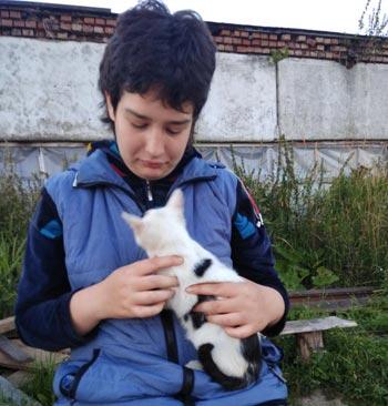 Котёнок